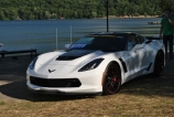 vette